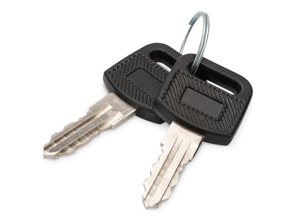 Digitus DN-KEY-WM, Lukitusavain, Musta, Hopea, Kiina, 5 mm, 45 mm, 20 mm
