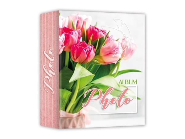 ZEP AV57200, Assorterte farger, 12 x 18-13 x 19 cm, Fotoark kartong, 120 x 180 mm, 312 mm, 237 mm