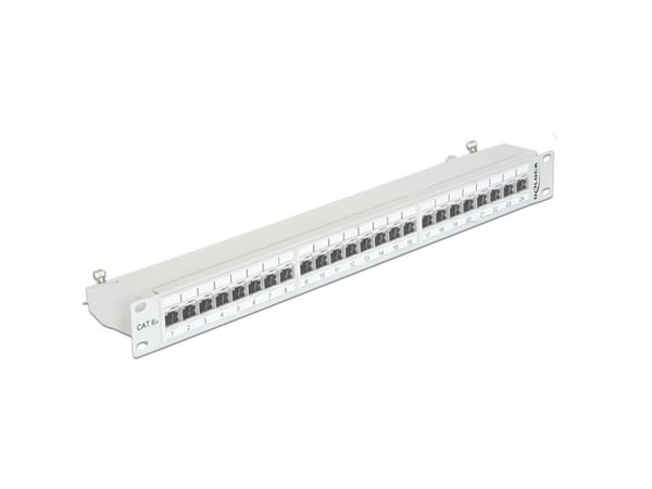 Delock - Koblingspanel - CAT 6a - RJ-45 X 24 - lysegrå, RAL 7035 - 1U - 19"