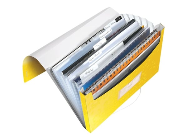 Leitz WOW - Dokumentmappe - kan utvides - 6 rom - 6 deler - for A4 (210 x 297 mm) - kapasitet: 250 ark - med fliker