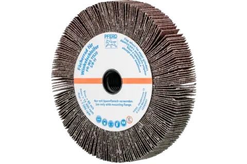 PFERD Unmounted flap wheels for angle grinders, 2 styck
