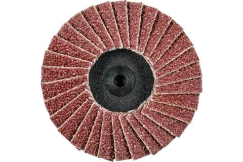 PFERD 47202527 CDR PFF 50 A 40 Lamellslipskiva Diameter 50 mm Brons , Titan, Titanlegering, Koppar, Mässing , Rostfritt stål, Grå/duktilt järn, For...