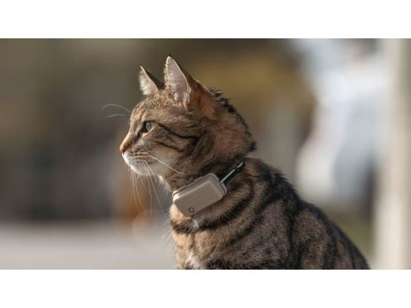 Tractive TRCAT5BR, Brun, Android, iOS, 55 mm, 17 mm, 28 mm, 25 g