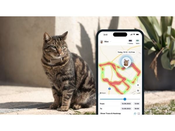 Tractive TRCAT5BR, Brun, Android, iOS, 55 mm, 17 mm, 28 mm, 25 g