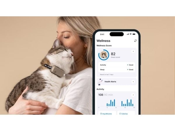 Tractive TRCAT5BR, Brun, Android, iOS, 55 mm, 17 mm, 28 mm, 25 g