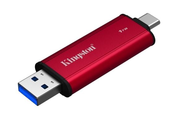 Kingston DC3000ME - SSD - 1 TB - extern