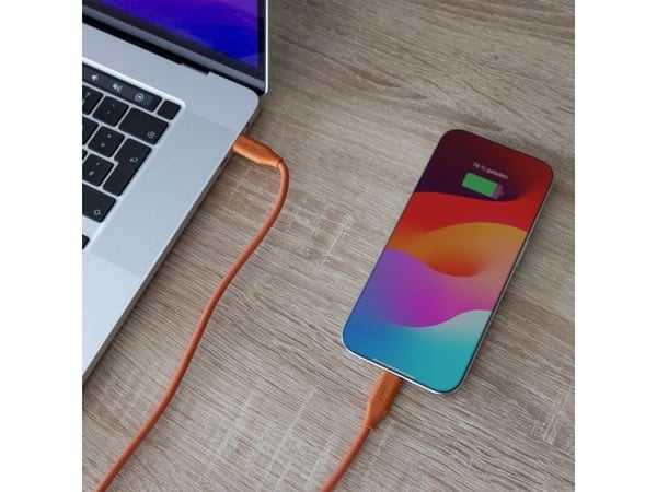 InLine 35891O, 1 m, USB C, USB C, USB 2.0, 0,48 Gbit/s, Oranssi