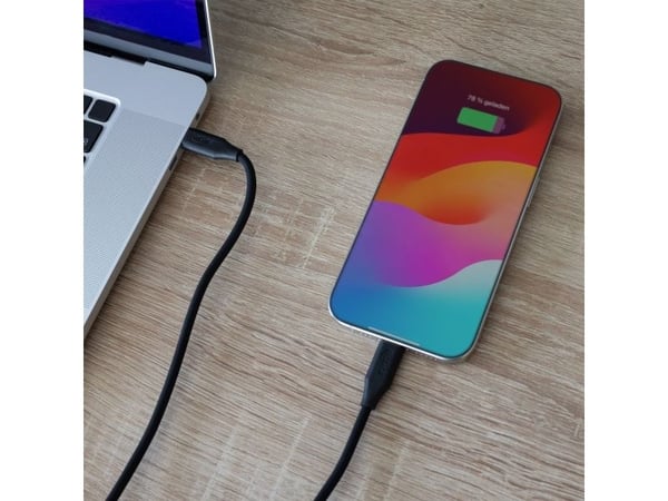 InLine USB 2.0 Kabel - USB-C Schnellladekabel 100W - Black Cookie - 0,5m (35895)