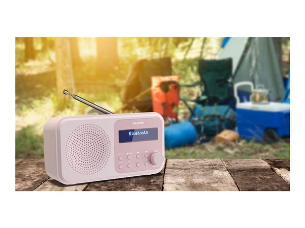 Sharp Tokyo DR-P420 - Bærbar DAB-radio - blomsterrosa