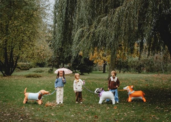 PartyDeco FB249, Lekeballong, Folie, Flerfarget, Gutt/Jente, Corgi, 880 mm