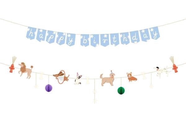 PartyDeco GRL121, Lippuviiri, Paperi, Monivärinen, Kuva, Syntymäpäivä, Seinä