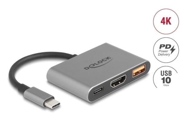 Delock - Dockningsstation - USB-C / Thunderbolt 3 / Thunderbolt 4 - HDMI