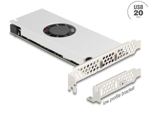 Delock - USB-adapter - PCIe 3.0 x16 lav profil - USB-C x 2