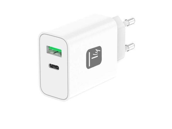 Techly IPW-USB-30WACG, inomhus, AC, 20 V, Vit
