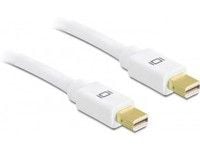 Delock - DisplayPort-kabel - Mini DisplayPort (hann) til Mini DisplayPort (hann) - 1 m - hvit