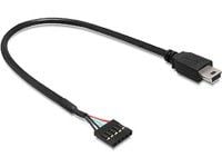 Delock USB 2.0 Pin Header - Intern-til-ekstern USB-adapter - mini-USB type B (hann) til 5-pins USB 2.0-hode (hunn) - 30 cm - svart