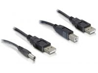 Delock - Strømkabelpakke - USB (han) til USB Type B, DC-stik 2,1 mm (han) - 30 cm