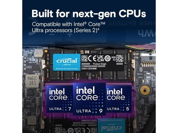 Crucial - DDR5 - modul - 32 GB - SO DIMM 262-pin - 3200 MHz / PC5-51200 - CL52 - 1.1 V - klokket - on-die ECC - svart