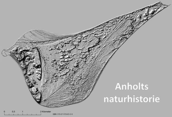Anholts naturhistorie | NIELS FREDERIK SCHRØDER | Språk: Dansk