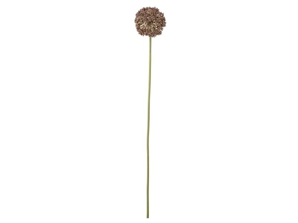 BLOOMINGVILLE Alliumstjälk, brun, konstgjorda blommor