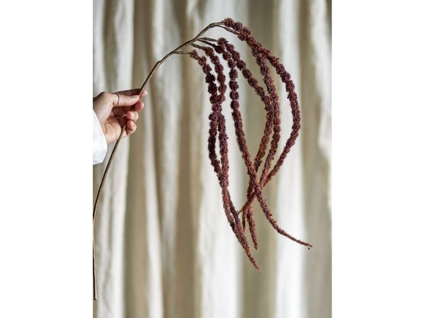 BLOOMINGVILLE Foxtail Stilk, Brun, Kunstige Blomster