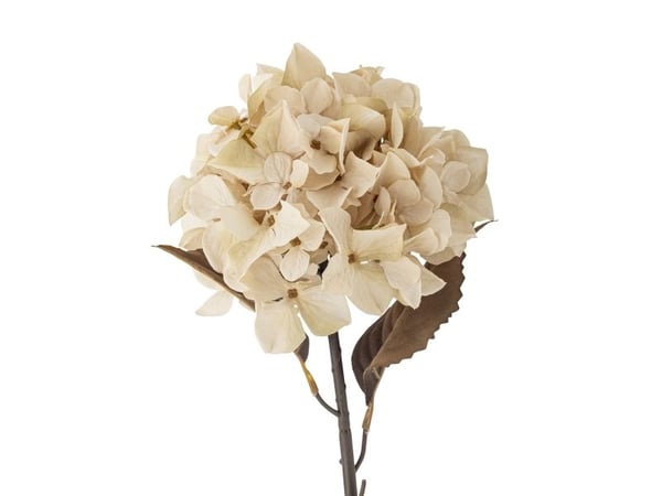 BLOOMINGVILLE Hydrangea Stilk, Natur, Kunstige Blomster