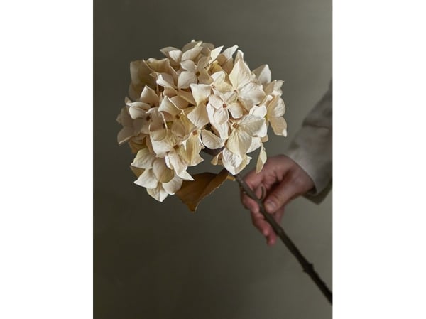 BLOOMINGVILLE Hydrangea Stilk, Natur, Kunstige Blomster