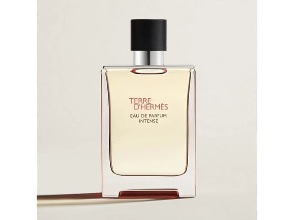 Hermes Terre D'Hermes Intense edp 100ml
