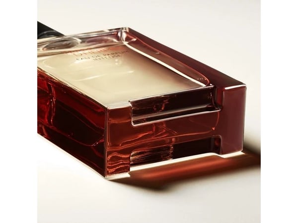 Hermes Terre D'Hermes Intense edp 100ml