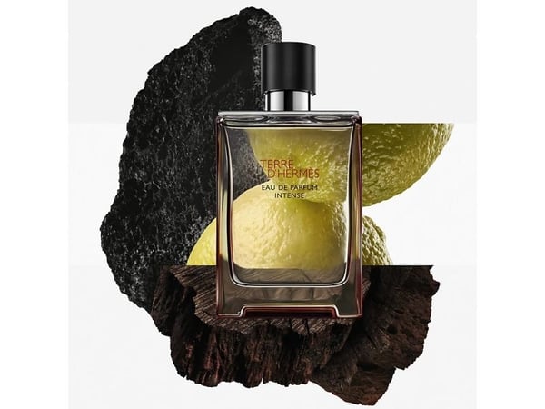 Hermes Terre D'Hermes Intense edp 100ml