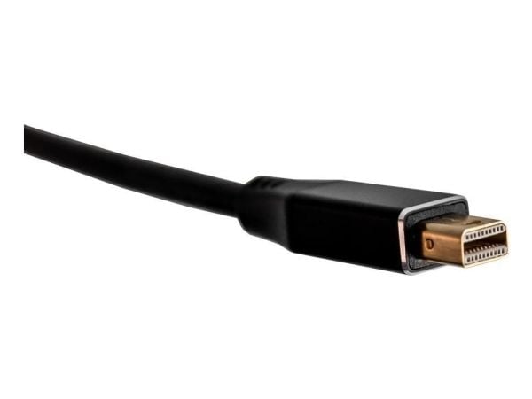 Bachmann 918.205, Mini DisplayPort, HDMI Typ A (standard)