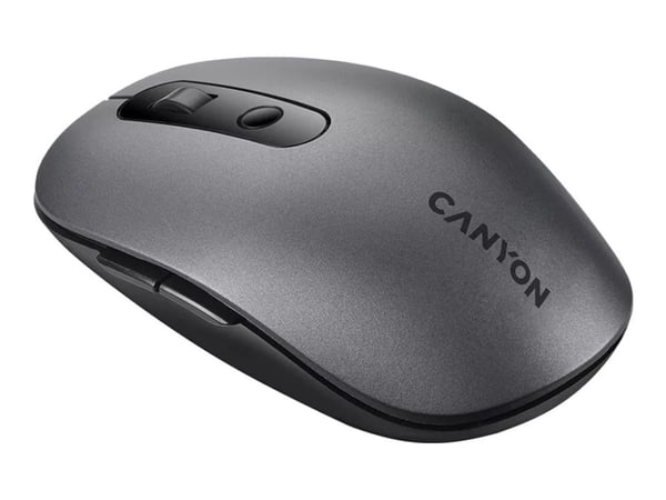 Canyon MW-9 - Mus - dual-mode - optisk - 6 knappar - trådlös - 2.4 GHz, Bluetooth - trådlös USB-mottagare - grå - detaljhandel - blåsa