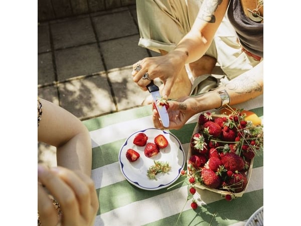 Fiskars Functional Form - Tomatkniv - 11.3 cm