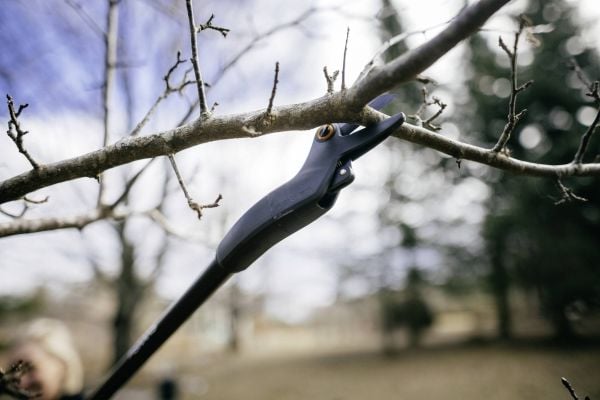 Fiskars 1073082