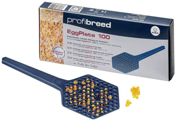 Fiap 1400