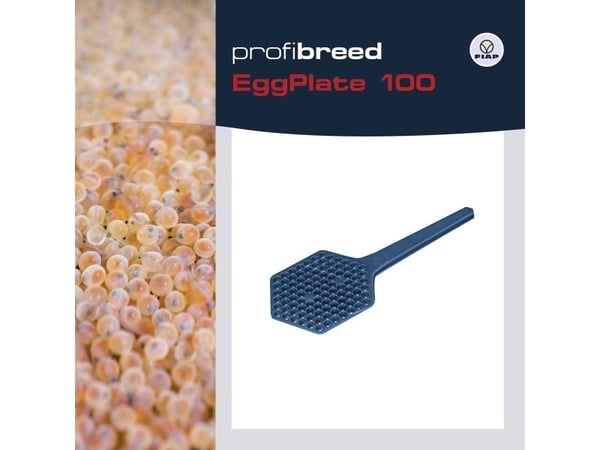 FIAP 1400 Äggbricka för fisk (L x B x H) 170 x 85 x 5 mm