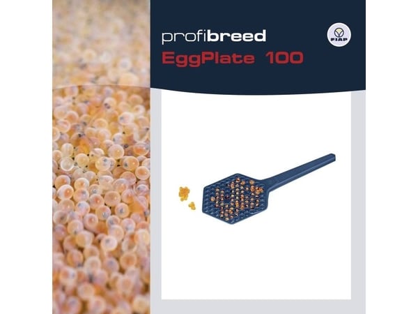 FIAP 1400 Äggbricka för fisk (L x B x H) 170 x 85 x 5 mm