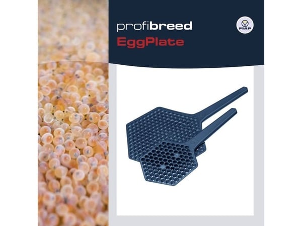 FIAP 1400 Äggbricka för fisk (L x B x H) 170 x 85 x 5 mm