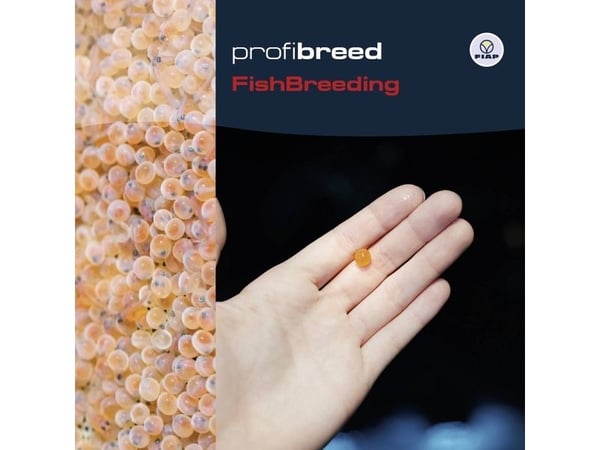 FIAP 1401 Pincett för fiskägg (L x B x H) 200 x 15 x 20 mm