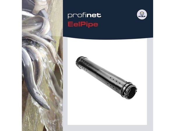 Fiap 1679