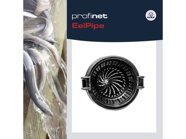 Fiap 1679