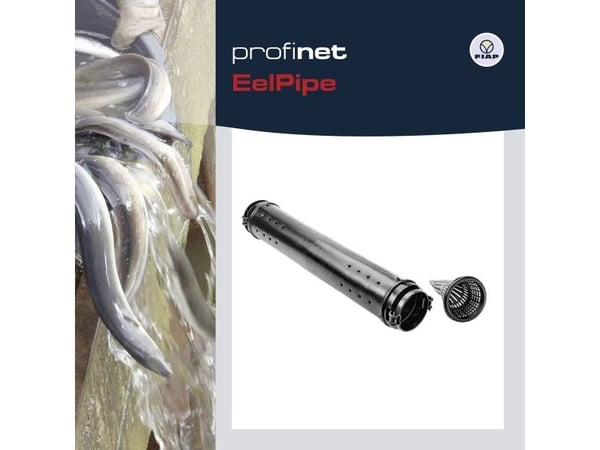 Fiap 1679