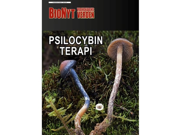 Psilocybin-terapi | Ole Georg Terney | Språk: Dansk