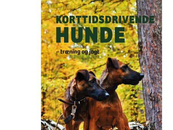 Korttidsdrivende hunder | Mathias Vogdrup-Schmidt | Språk: Dansk