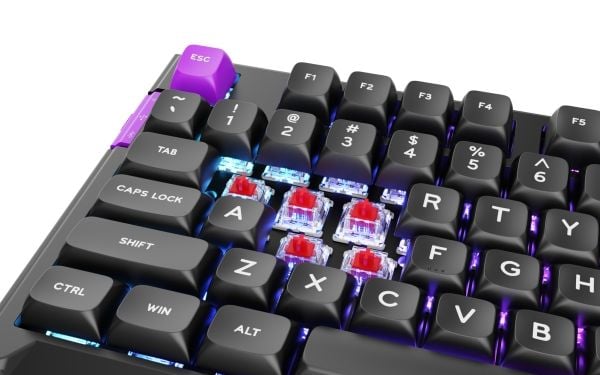 PREYON Silent Claw Red Gateron Red Pro Keyboard