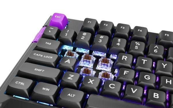 PREYON Silent Claw Brown Gateron Brown Pro Keyboard
