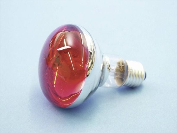 Eurolite 9210360U