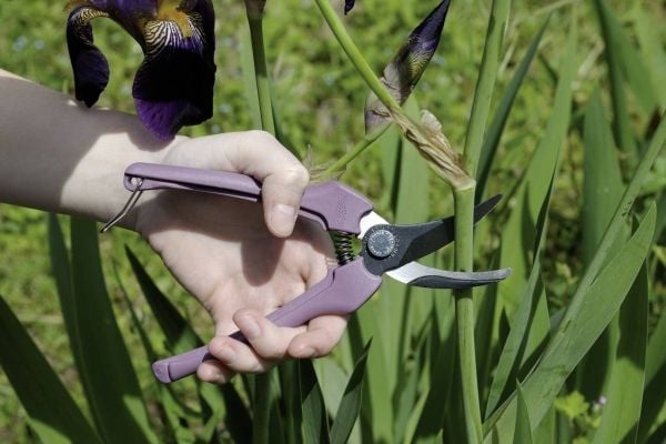 Bahco P123-LILAC-B6 Havesaks
