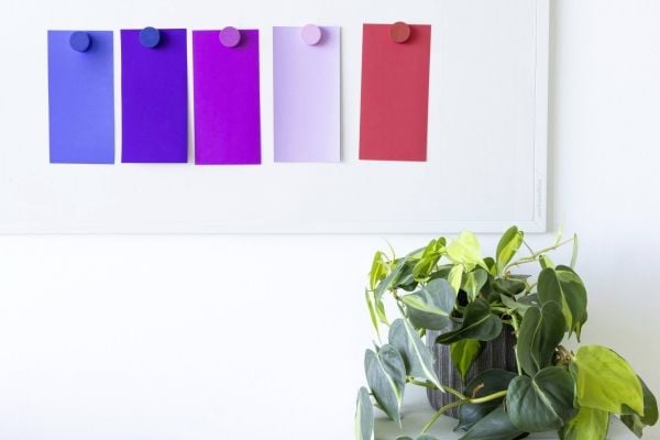 Magnetoplan 112501520