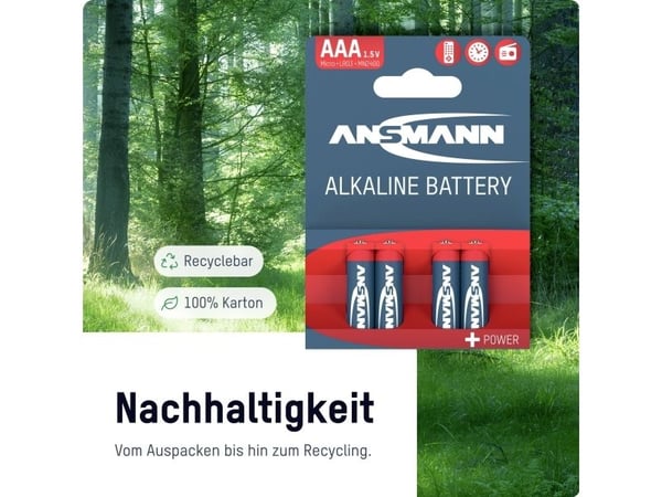 Ansmann paristosarja Micro, Mignon, 40 St. (1520-0003)